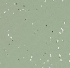 Линолеум Forbo Sphera Evolution 50434 sage фото 1 | FLOORDEALER